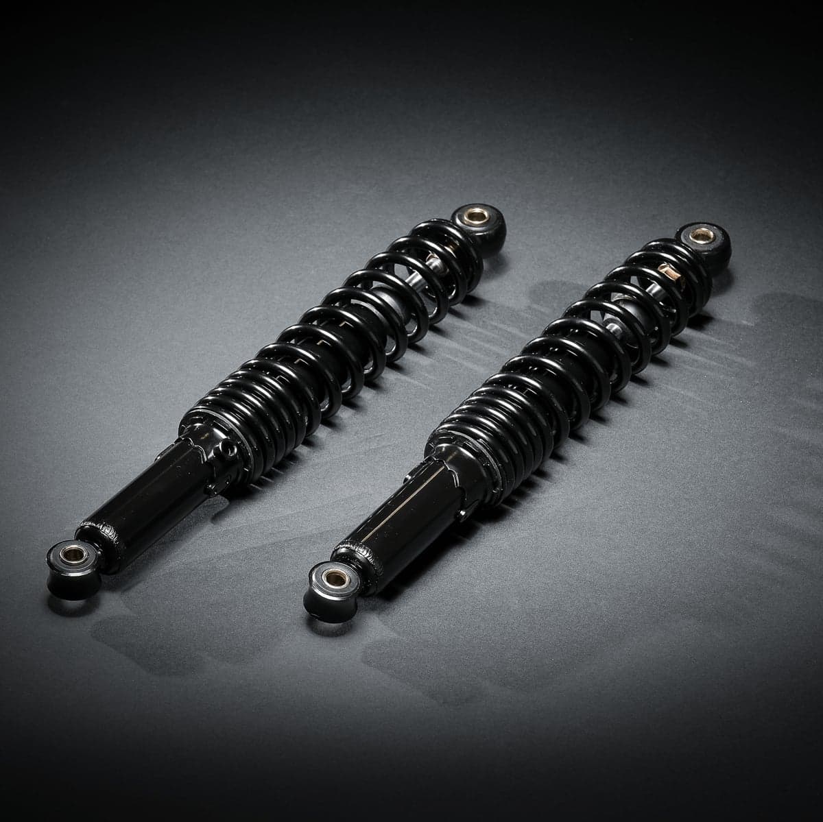 Motors upgraded RCR rear shocks